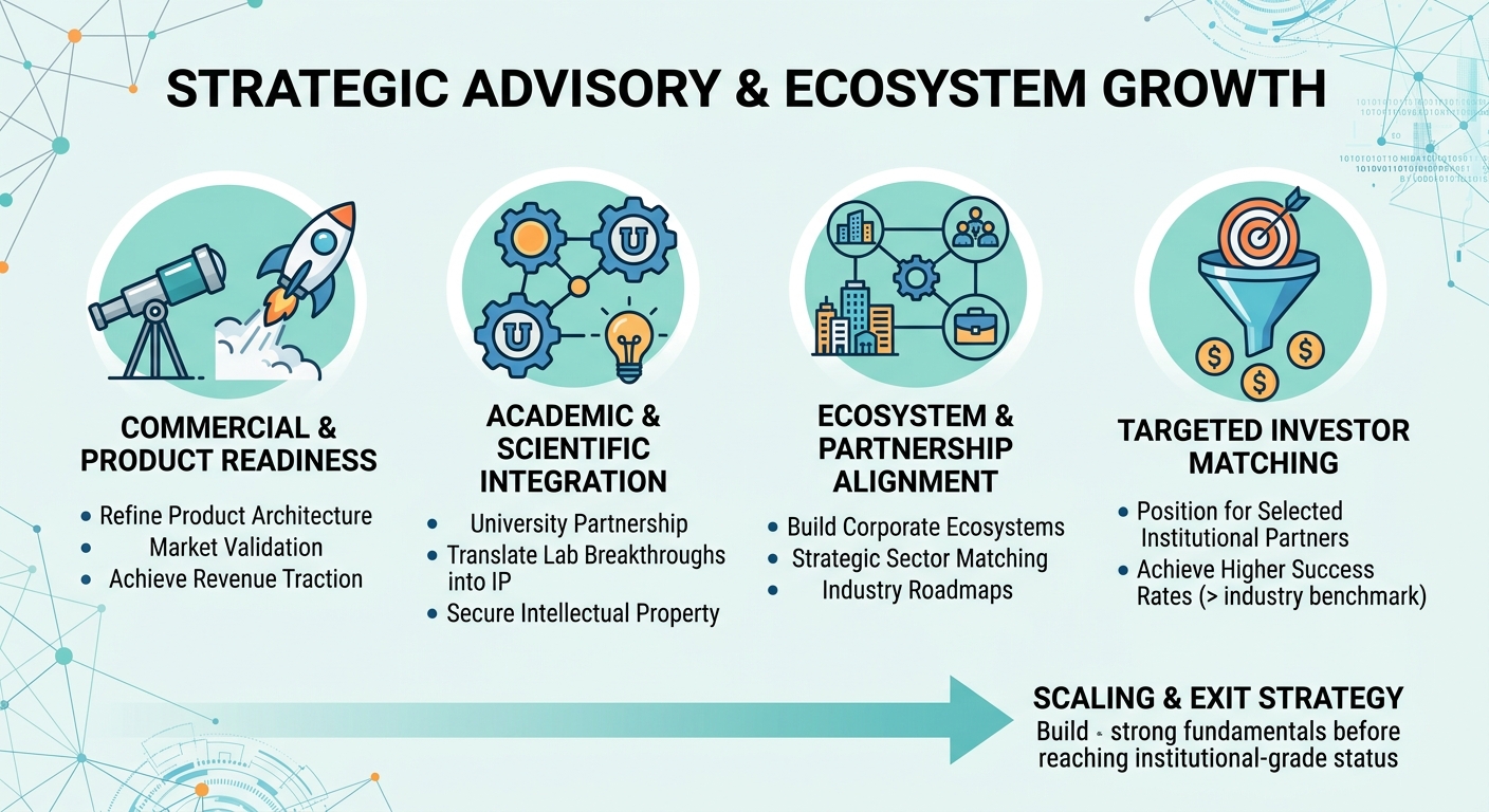 Strategic Advisory Beyond Traditional Venture Capital for Scale-Ups and Research Spin-Outs Norway